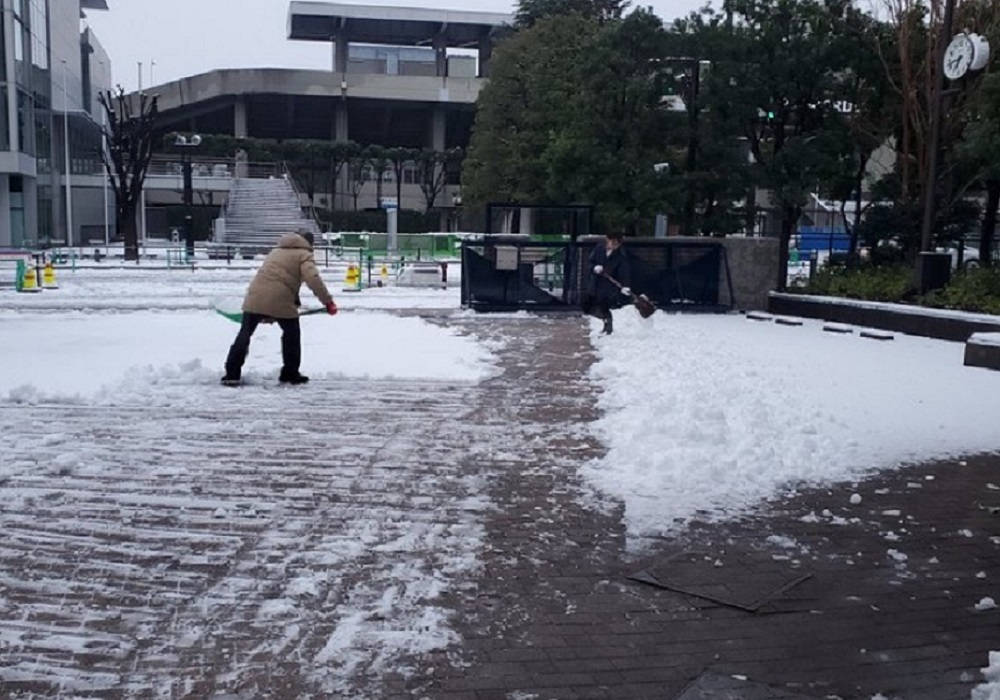 20240206 雪翌日玄関◇